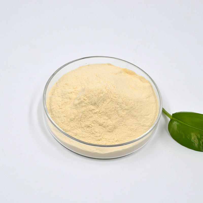 西卡Retardan®-200 P 石膏缓凝剂