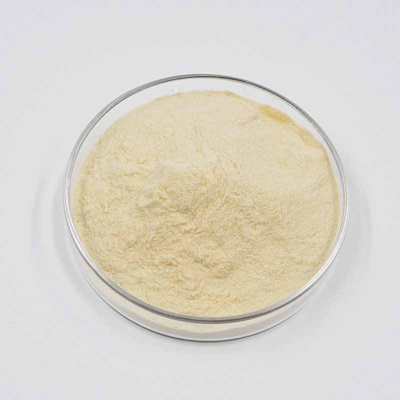 西卡Retardan®-200 P 石膏缓凝剂