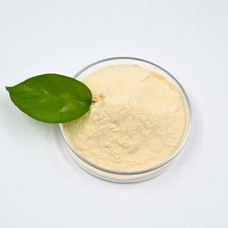 西卡Retardan®-200 P 石膏缓凝剂