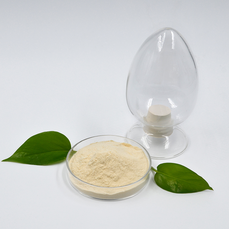 西卡Retardan®-200 P 石膏缓凝剂